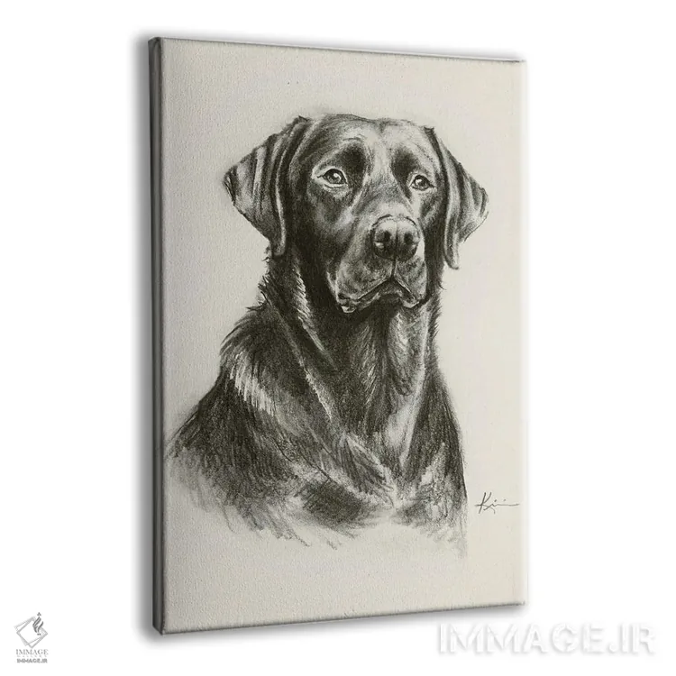 تابلو دکوراتیو طرح اسکچ لابرادور رتریور ۳ اثر لینزی کیوی - نمای پرسپکتیو محصول
