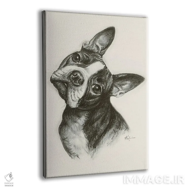 تابلو دکوراتیو طرح اسکچ بوستون تریر اثر لینزی کیوی - نمای پرسپکتیو محصول