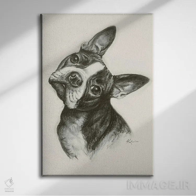 تابلو دکوراتیو طرح اسکچ بوستون تریر اثر لینزی کیوی - نمای روبهرو روی دیوار