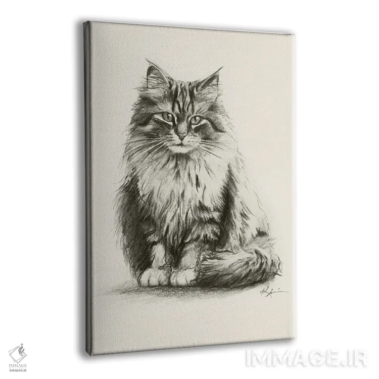 تابلو دکوراتیو طرح اسکچ گربه سیبری اثر لینزی کیوی - نمای پرسپکتیو محصول