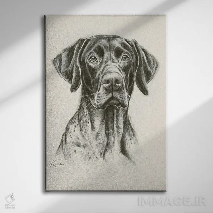 تابلو دکوراتیو طرح اسکچ پوینتر موکوتاه آلمانی اثر لینزی کیوی - نمای روبهرو روی دیوار