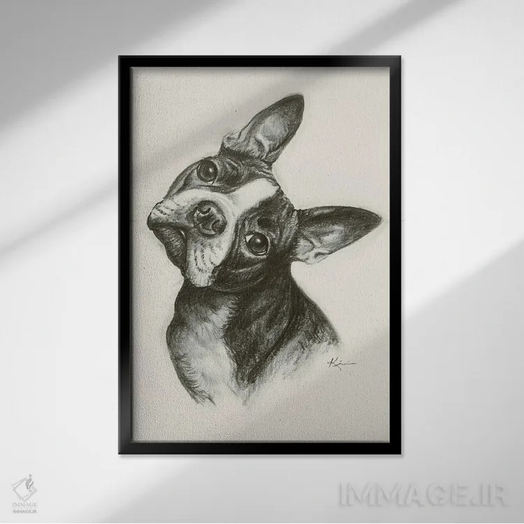 تابلو دکوراتیو طرح اسکچ بوستون تریر اثر لینزی کیوی - نمای قابدار مشکی