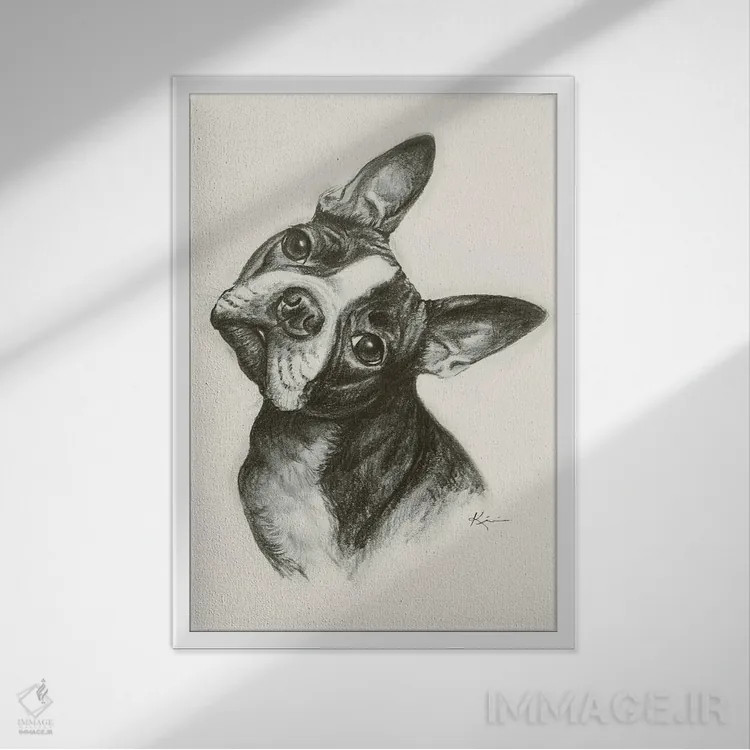 تابلو دکوراتیو طرح اسکچ بوستون تریر اثر لینزی کیوی - نمای قابدار سفید