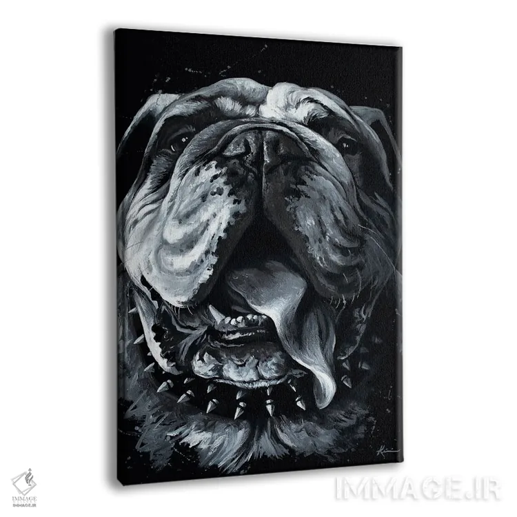 تابلو دکوراتیو بولی اثر لینزی کیوی - نمای پرسپکتیو محصول