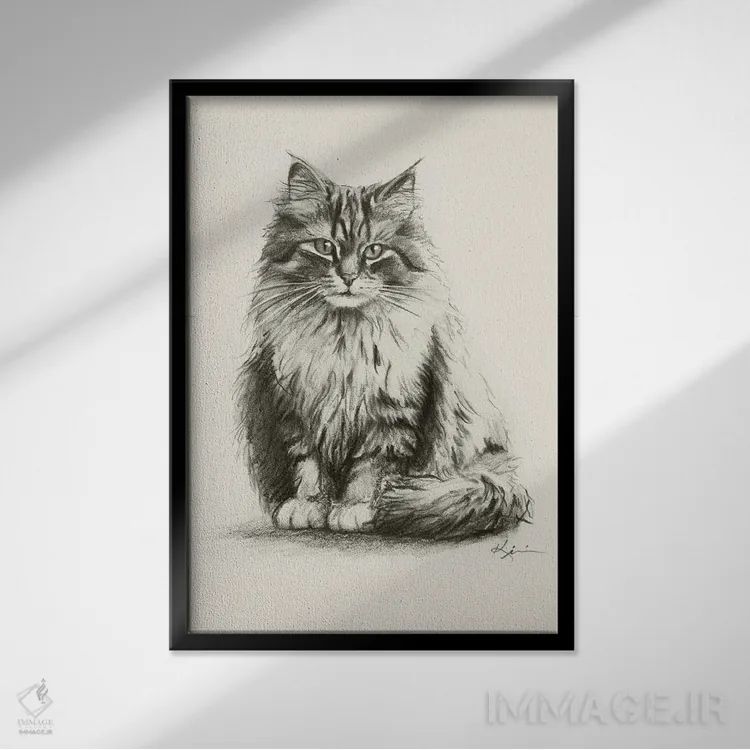 تابلو دکوراتیو طرح اسکچ گربه سیبری اثر لینزی کیوی - نمای قابدار مشکی