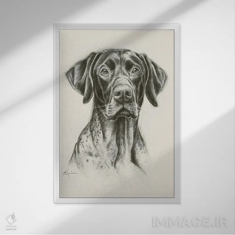 تابلو دکوراتیو طرح اسکچ پوینتر موکوتاه آلمانی اثر لینزی کیوی - نمای قابدار سفید