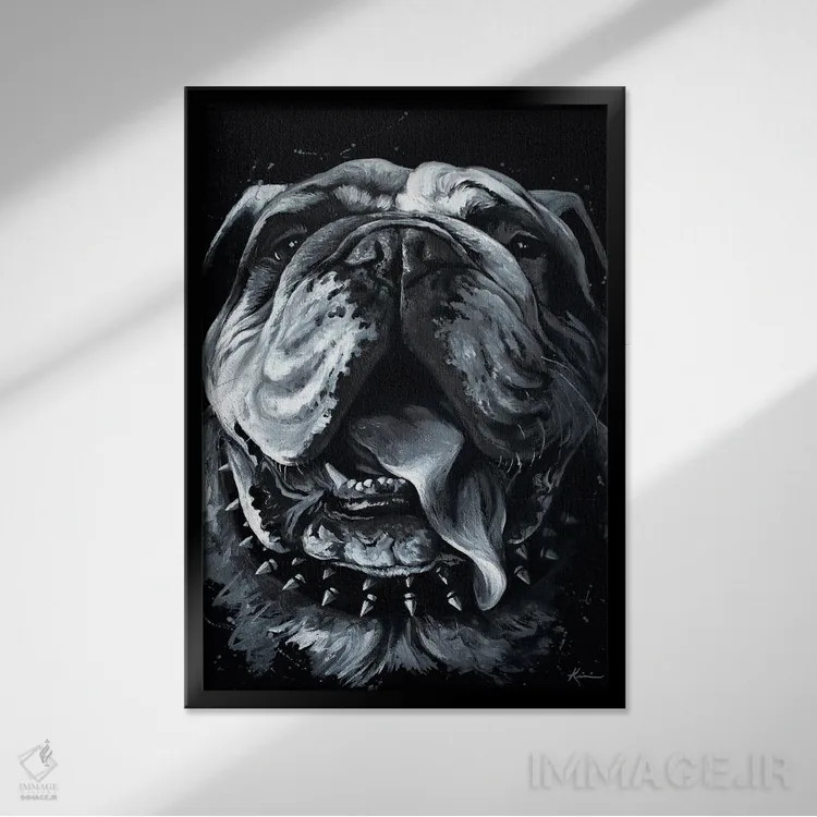 تابلو دکوراتیو بولی اثر لینزی کیوی - نمای قابدار مشکی