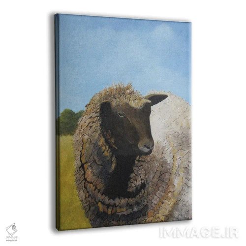 تابلو دکوراتیو گوسفند ماده، باشه؟ اثر شریل میلر لکی - نمای پرسپکتیو محصول