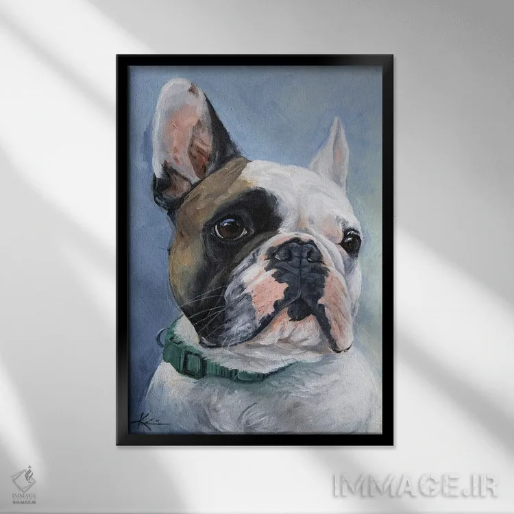 تابلو دکوراتیو بولداگ فرانسوی پایدار اثر لینزی کیوی - نمای قابدار مشکی