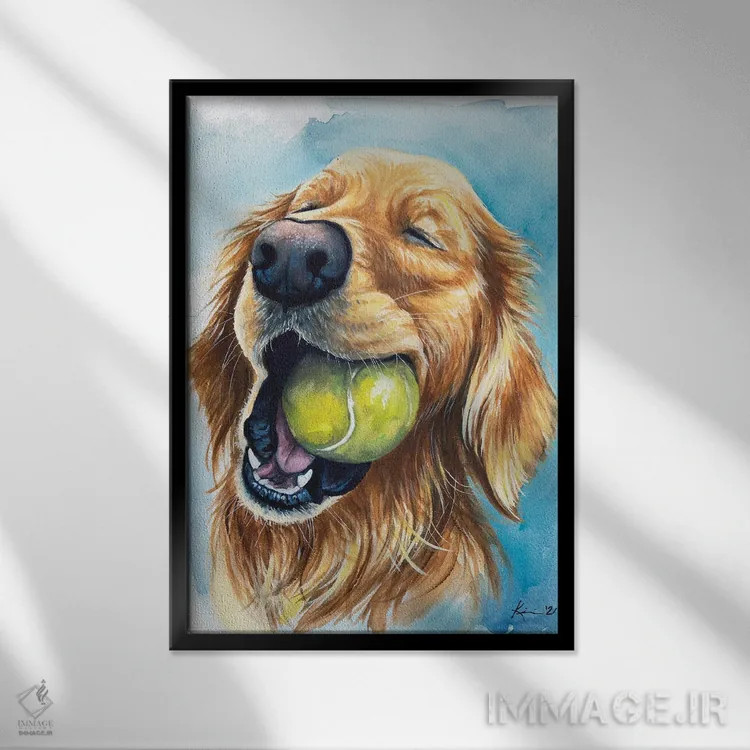 تابلو دکوراتیو توپ یعنی زندگی اثر لینزی کیوی - نمای قابدار مشکی