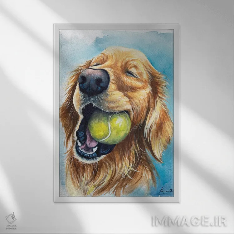 تابلو دکوراتیو توپ یعنی زندگی اثر لینزی کیوی - نمای قابدار سفید