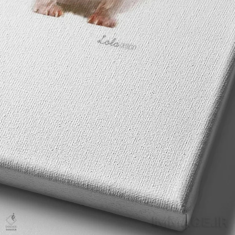 تابلو دکوراتیو جوجه تیغی صورتی گیاهی حیات وحش اثر لولا دیزاین - نمای نزدیک بافت بوم