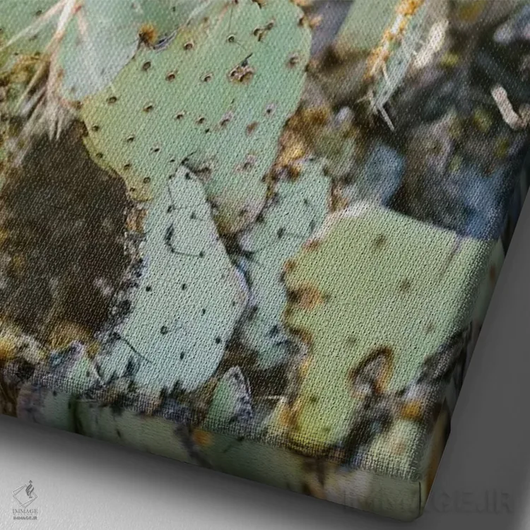 تابلو دکوراتیو Tuscon, Arizona,کاکتوس انجیری شماره ۲، توسکن، آریزونا اثر لاولی لیتل هوم کو - نمای نزدیک بافت بوم