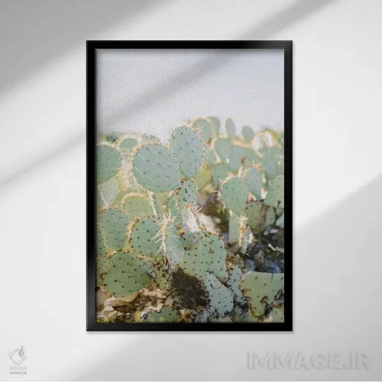 تابلو دکوراتیو Tuscon, Arizona,کاکتوس انجیری شماره ۲، توسکن، آریزونا اثر لاولی لیتل هوم کو - نمای قابدار مشکی