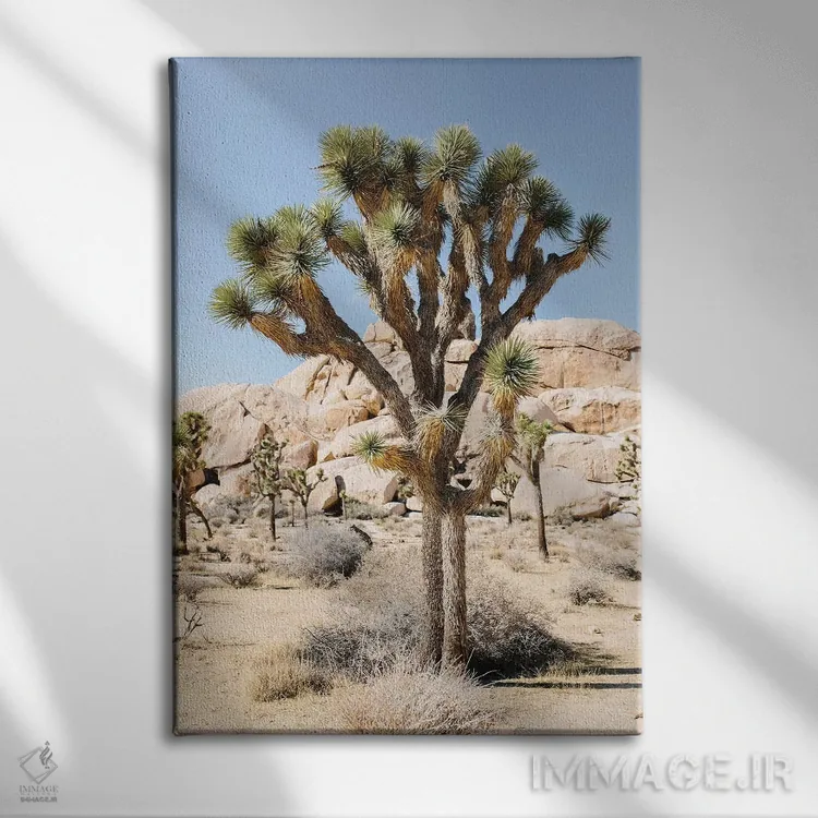 تابلو دکوراتیو Joshua Tree, California,منظر بیابانی شماره ۵، جاشوا ت… اثر لاولی لیتل هوم کو - نمای روبهرو روی دیوار