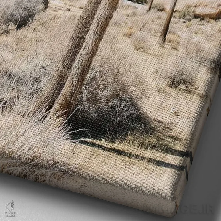 تابلو دکوراتیو Joshua Tree, California,منظر بیابانی شماره ۵، جاشوا ت… اثر لاولی لیتل هوم کو - نمای نزدیک بافت بوم