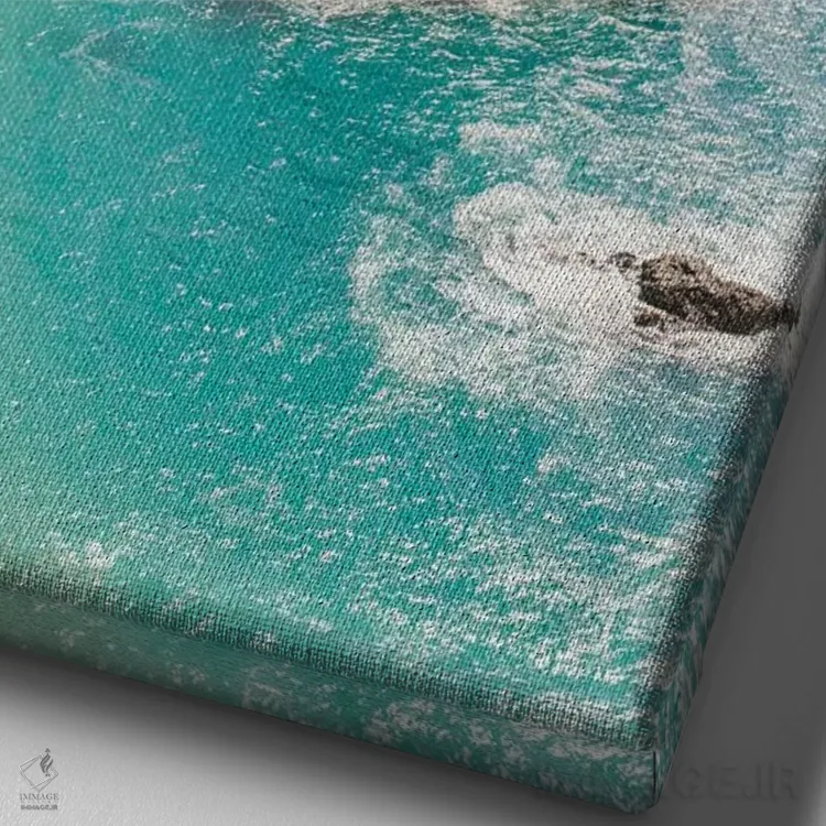 تابلو دکوراتیو Big Sur, California,ساحل آبشار مک وی II، بیگ سور، کال… اثر لاولی لیتل هوم کو - نمای نزدیک بافت بوم