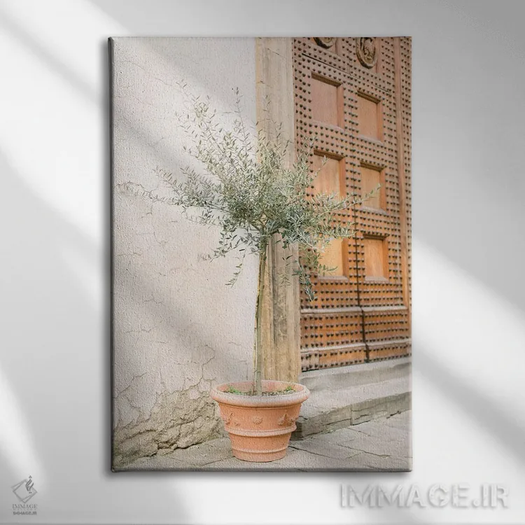 تابلو دکوراتیو Florence, Italy,درخت زیتون، فلورانس، ایتالیا اثر لاولی لیتل هوم کو - نمای روبهرو روی دیوار