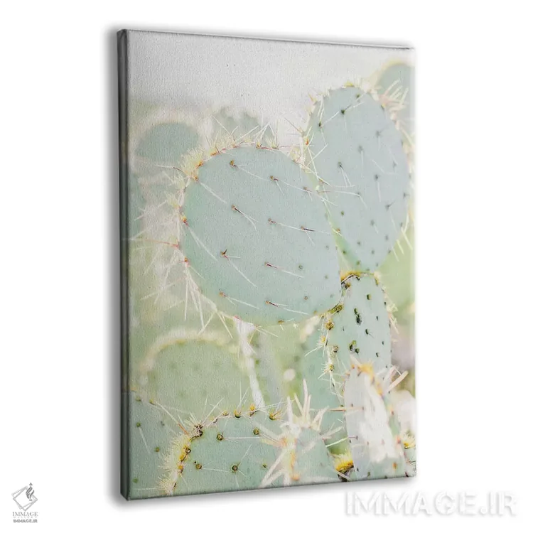 تابلو مدرن Tuscon, Arizona,انجیر کاکتی I، توسان، آریزونا اثر لاولی لیتل هوم کو - نمای پرسپکتیو محصول