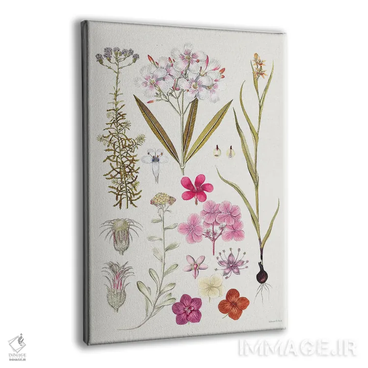 تابلو دکوراتیو مطالعه شکوفه های قدیمی اثر لترد اند لایند - نمای پرسپکتیو محصول