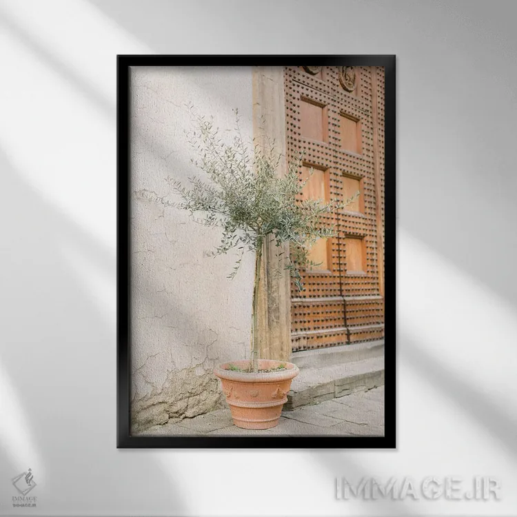 تابلو دکوراتیو Florence, Italy,درخت زیتون، فلورانس، ایتالیا اثر لاولی لیتل هوم کو - نمای قابدار مشکی