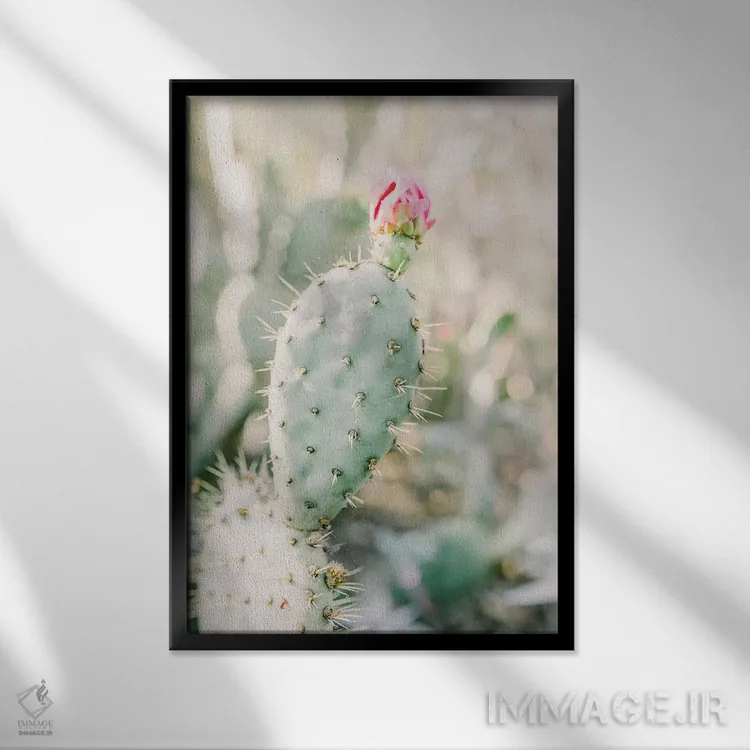 تابلو دکوراتیو Tuscon, Arizona,گل انجیر کاکتی، توسان، آریزونا اثر لاولی لیتل هوم کو - نمای قابدار مشکی