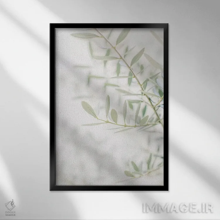 تابلو دکوراتیو Florence, Italy,نمای نزدیک درخت زیتون، فلورانس، ایتال… اثر لاولی لیتل هوم کو - نمای قابدار مشکی