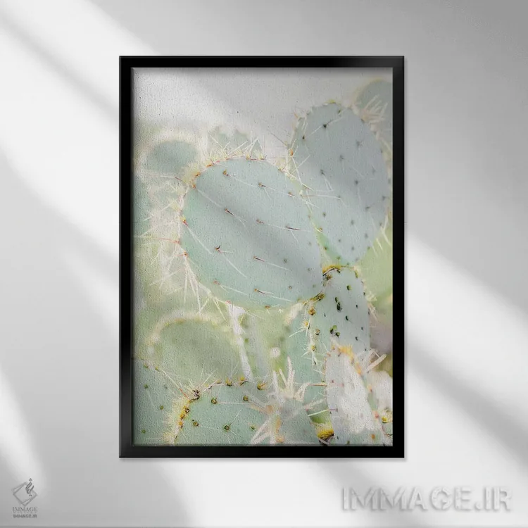 تابلو مدرن Tuscon, Arizona,انجیر کاکتی I، توسان، آریزونا اثر لاولی لیتل هوم کو - نمای قابدار مشکی