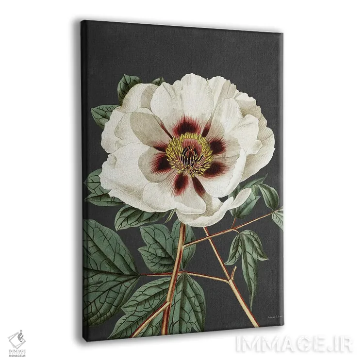 تابلو دکوراتیو رز قدیمی اثر لترد اند لایند - نمای پرسپکتیو محصول