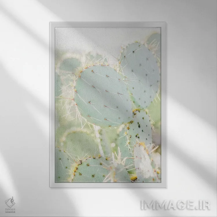 تابلو مدرن Tuscon, Arizona,انجیر کاکتی I، توسان، آریزونا اثر لاولی لیتل هوم کو - نمای قابدار سفید