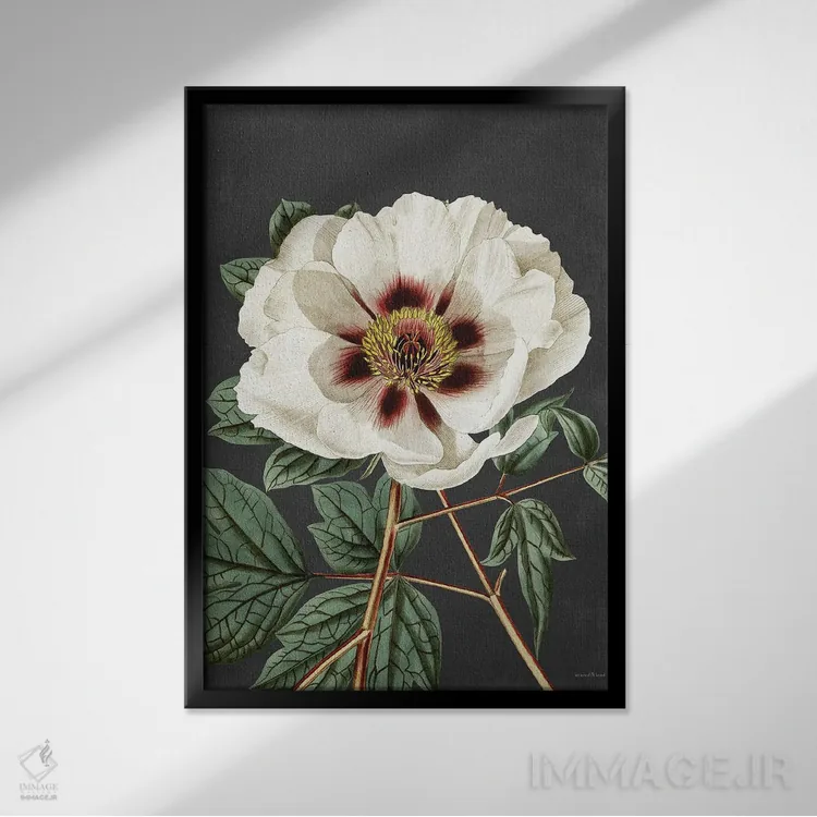 تابلو دکوراتیو رز قدیمی اثر لترد اند لایند - نمای قابدار مشکی