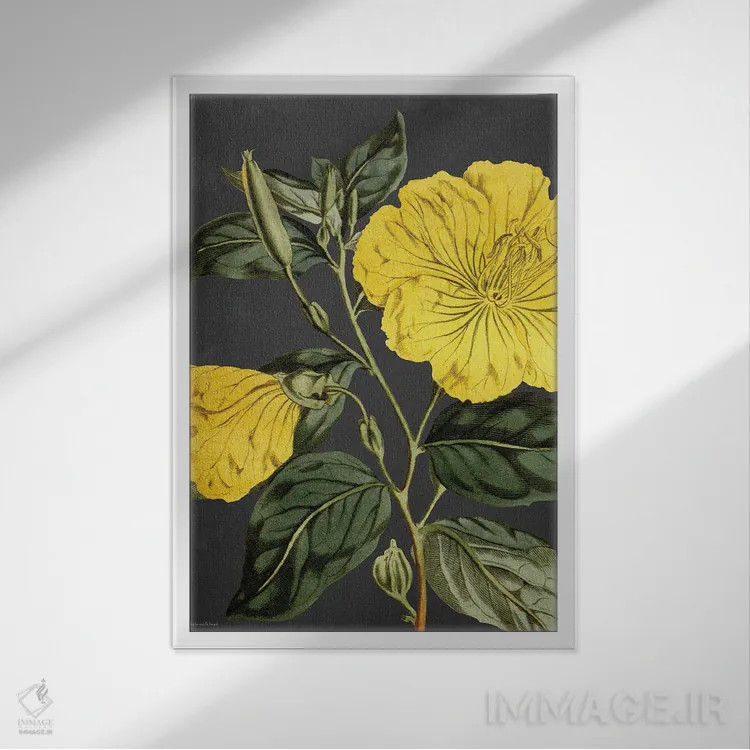 تابلو دکوراتیو پیچک زرد اثر لترد اند لایند - نمای قابدار سفید