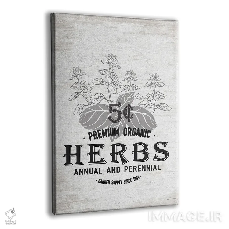 تابلو مدرن سبزیجات معطر اثر لترد اند لایند - نمای پرسپکتیو محصول