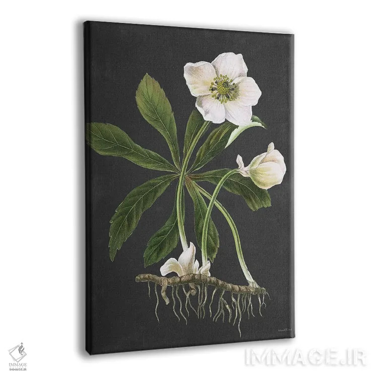 تابلو مدرن هللبور اثر لترد اند لایند - نمای پرسپکتیو محصول