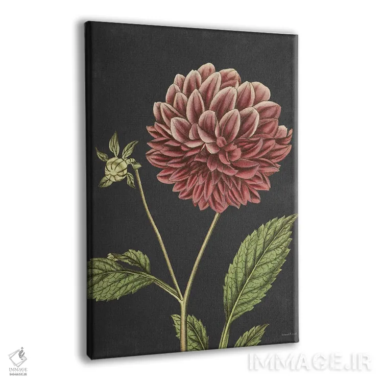 تابلو دکوراتیو داهیلیا اثر لترد اند لایند - نمای پرسپکتیو محصول