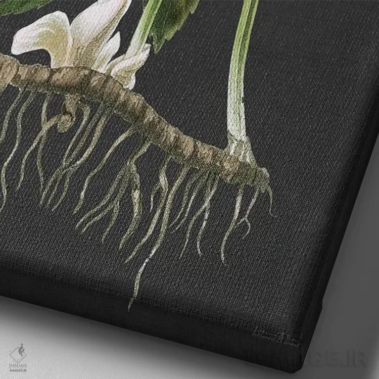 تابلو مدرن هللبور اثر لترد اند لایند - نمای نزدیک بافت بوم