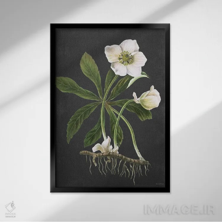 تابلو مدرن هللبور اثر لترد اند لایند - نمای قابدار مشکی