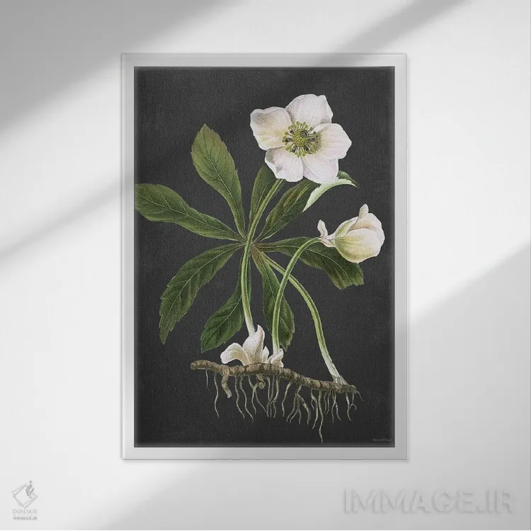 تابلو مدرن هللبور اثر لترد اند لایند - نمای قابدار سفید