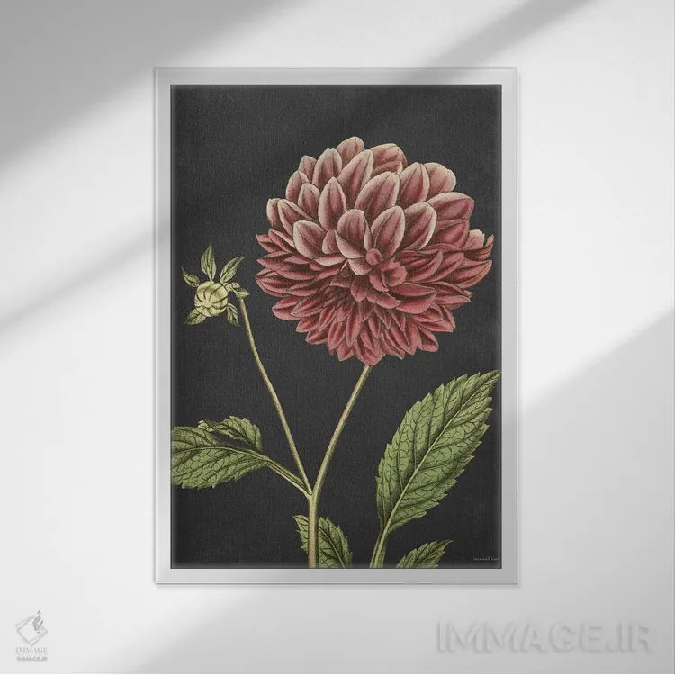 تابلو دکوراتیو داهیلیا اثر لترد اند لایند - نمای قابدار سفید