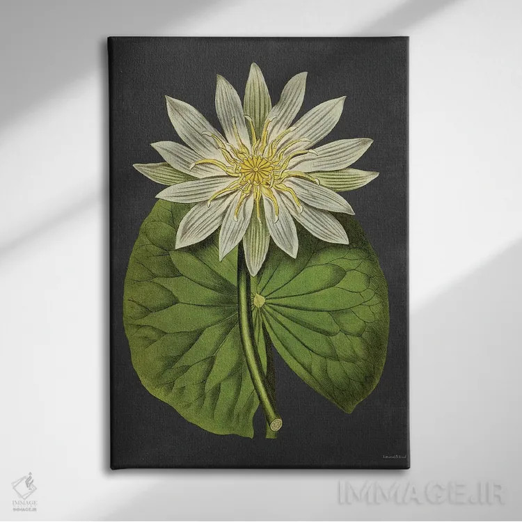 تابلو دکوراتیو سوسن اثر لترد اند لایند - نمای روبهرو روی دیوار