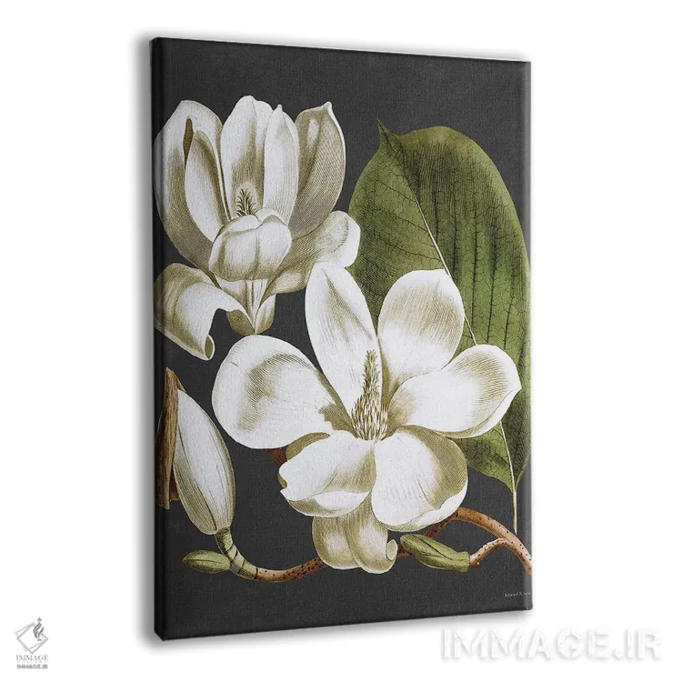 تابلو مدرن ماگنولیا اثر لترد اند لایند - نمای پرسپکتیو محصول