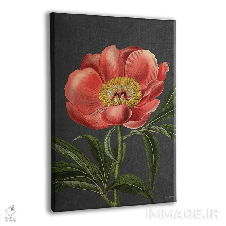 تابلو دکوراتیو گل صدتومانی اثر لترد اند لایند - نمای پرسپکتیو محصول