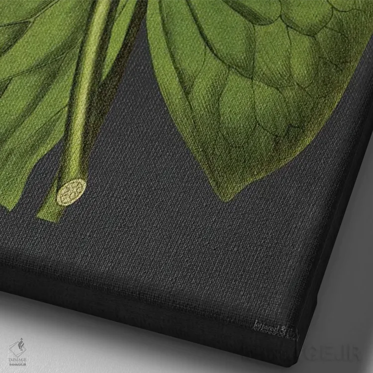 تابلو دکوراتیو سوسن اثر لترد اند لایند - نمای نزدیک بافت بوم