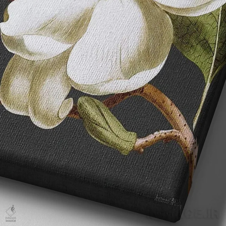 تابلو مدرن ماگنولیا اثر لترد اند لایند - نمای نزدیک بافت بوم