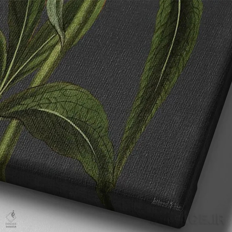 تابلو دکوراتیو گل صدتومانی اثر لترد اند لایند - نمای نزدیک بافت بوم