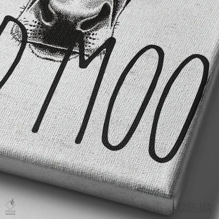 تابلو دکوراتیو White And Moo,قرمز، سفید و مااا اثر لترد اند لایند - نمای نزدیک بافت بوم