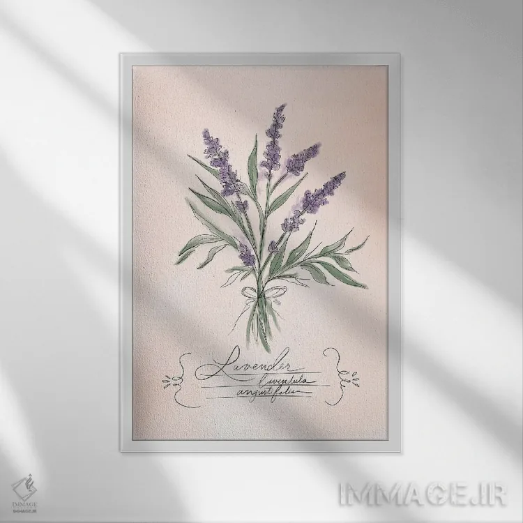 تابلو دکوراتیو اسطوخودوس اثر لیلی و ول - نمای قابدار سفید