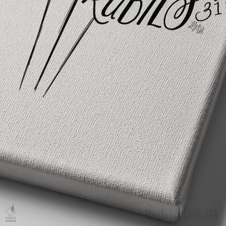 تابلو دکوراتیو لباس ضرب المثل ۳۱ اثر لیلی و ول - نمای نزدیک بافت بوم