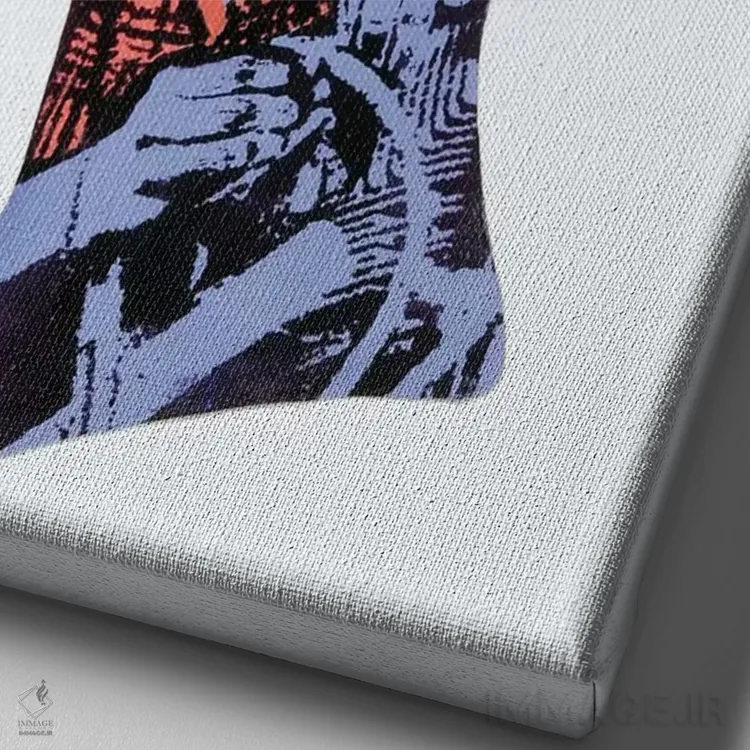 تابلو دکوراتیو رزی اثر لورا می دوریس - نمای نزدیک بافت بوم