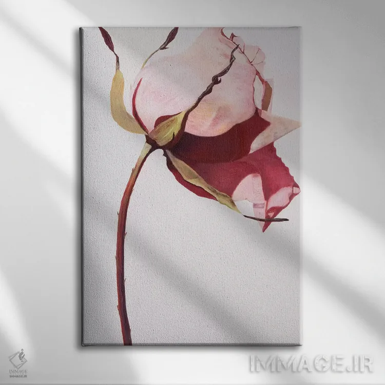 تابلو دکوراتیو عشق یک گل رز است ۱ اثر لیندا استلینگ - نمای روبهرو روی دیوار